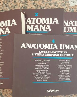 Anatomia Umana edi ermes+ Atlante Netter