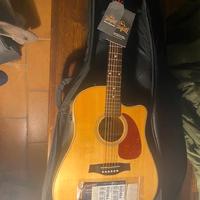 Chitarra acustica  Seagull Performer CW HG QIT