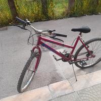 bicicletta  da passeggio