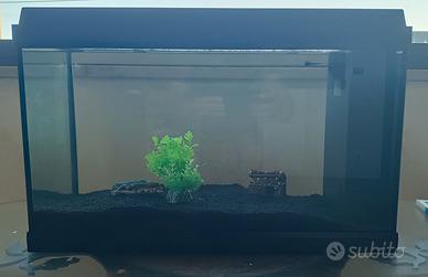 acquario per pesci rossi o tropicali 