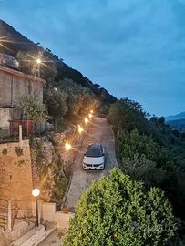 Due appartamenti e terreno