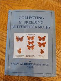 Collecting and breeding butterflies and moths
