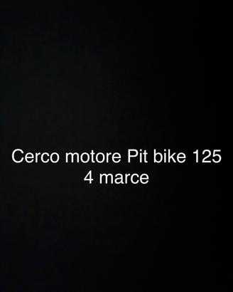 motore pit bike