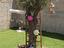 Immagine 4