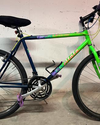 Mtb uomo usata