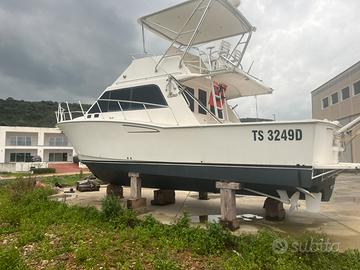 Cabo 35