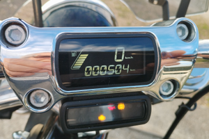 Harley Davidson softail standard