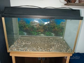 Acquario per casa