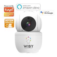 Telecamera di Sorveglianza Domestica Wifi PTZ 3MP