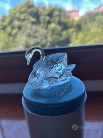cigno swarovski 