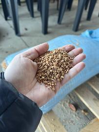 Nocciolino per riscaldamento