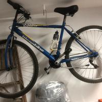 Bicicletta