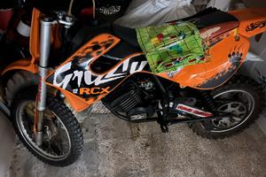 grizzly 50 pitbike