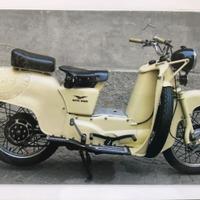 Moto Guzzi Galletto 175 - 1953