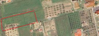 TER. RESIDENZIALE A BOTRICELLO