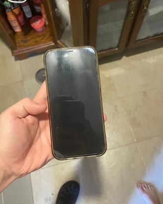 iPhone 12 Pro Max Oro/Argento
