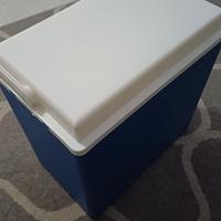 Borsa Frigo