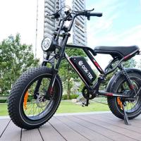 Bici elettrica 1000w