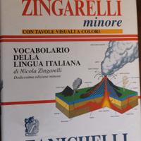 Lo Zingarelli minore di Nicola Zingaretti