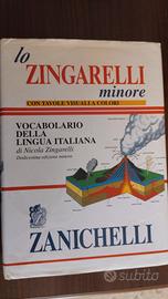 Lo Zingarelli minore di Nicola Zingaretti