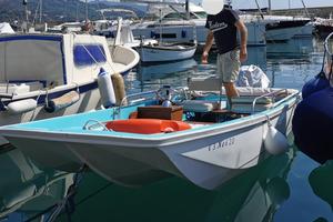 Boston whaler