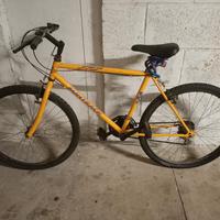 Mountain bike bici