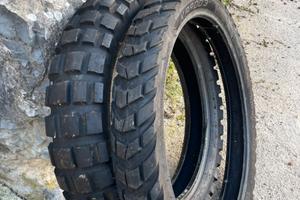 Gomme semitassellate