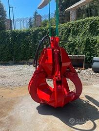 Benna a polipo rozzi