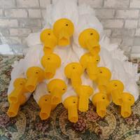 varie cose  a prezzo stracciato 