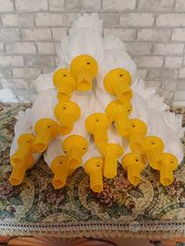 varie cose  a prezzo stracciato 