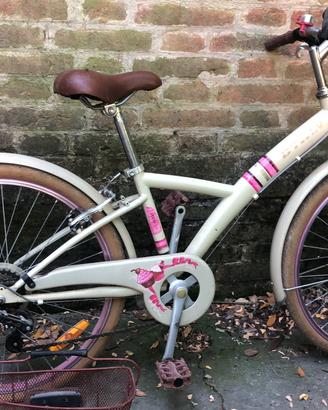 Bicicletta stile vintage