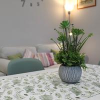 Casa vacanze ginestrehome