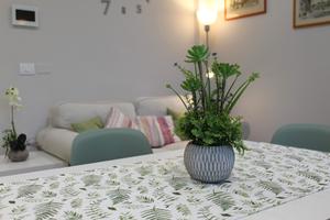 Casa vacanze ginestrehome