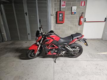 Benelli BN 251 - 2017