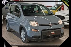 FIAT Panda 3ª serie Panda 1.0 FireFly S&S Hybrid