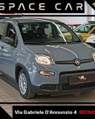 FIAT Panda 3ª serie Panda 1.0 FireFly S&S Hybrid