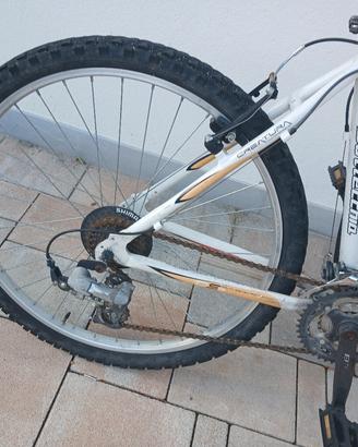 bottecchia fx 500 