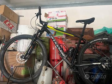 Cannondale