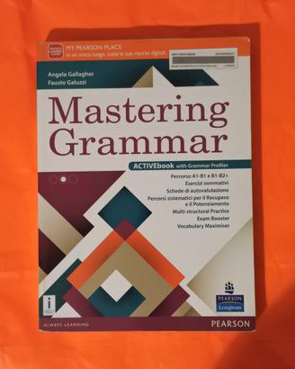 Mastering Grammar