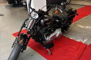 Harley-davidson Softail Cross Bones