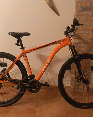 MOUNTAIN BIKE  CASADEI KUSTER 29