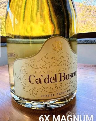 CA DEL BOSCO 6litri BOTTIGLIA