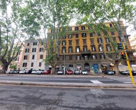 TRASTEVERE - Attività di Wine Bar