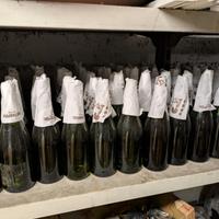 BOTTIGLIE VINO VUOTE