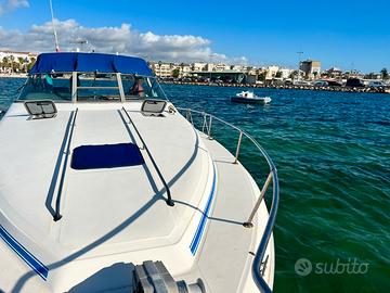 Sea ray 310 linea asse