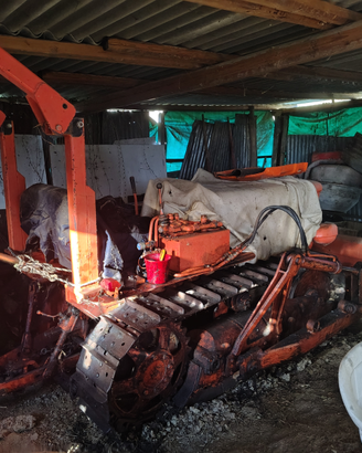 Trattore a cingoli 605 fiat collina