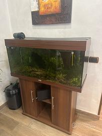 Acquario juwel 180 litri