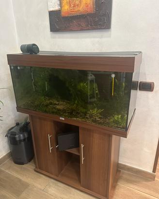 Acquario juwel 180 litri