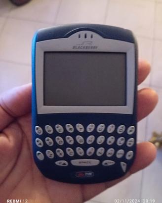 Blackberry 