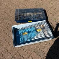 Gabbia conigli cavie